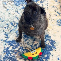 Ethical Fun Food Taco Toy For Dog (Small)