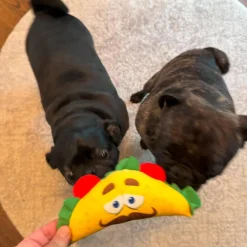 Ethical Fun Food Taco Toy For Dog (Small)
