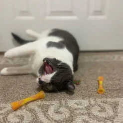 Ethical Kitty Fun Tubes Toy For Cats