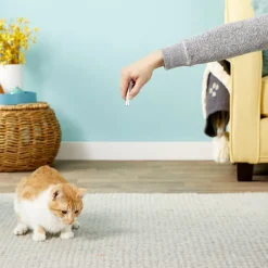 Ethical Laser Toy For Dogs & Cats