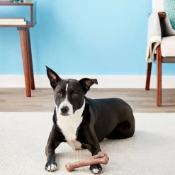 Ethical Pet Bam-bones Bacon Flavored Wish Bone for Dogs