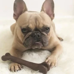 Ethical Pet Bam-Bones Bacon Flavor Chew Toy for Dogs