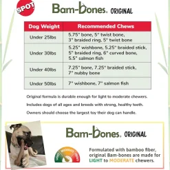 Ethical Pet Bam-Bones Bacon Flavor Chew Toy for Dogs