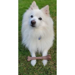 Ethical Pet Bam-Bones Bacon Flavor Chew Toy for Dogs