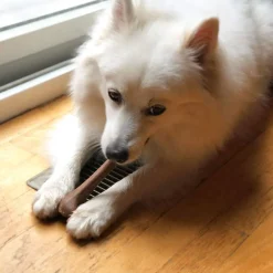 Ethical Pet Bam-Bones Bacon Flavor Chew Toy for Dogs