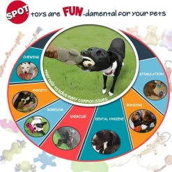 Ethical Pet Bam-Bones Chicken Flavor Chew Toy for Dogs