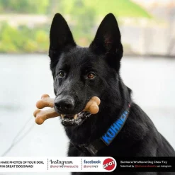 Ethical Pet Bam-bones Chicken Flavored Wish Bone for Dogs