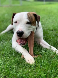 Ethical Pet Bam-Bones Plus Peanut Butter Tough Chew Dog Toy