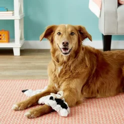 Ethical Pet Skinneeez Crinklers Goat Stuffing-Free Squeaky Plush Dog Toy