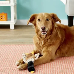 Ethical Pet Skinneeez Crinklers Bird Stuffing-Free Squeaky Plush Dog Toy, Assorted