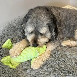 Ethical Pet Skinneeez Extreme Stuffer Frog Toy for Dogs 14