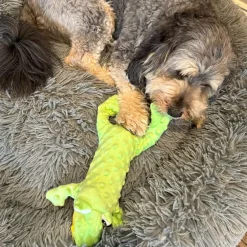 Ethical Pet Skinneeez Extreme Stuffer Frog Toy for Dogs 14
