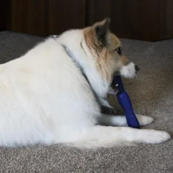 Ethical Pet Spot Barrett Tough Retriever Dog Toy 9.5