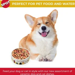 Ethical Pet Spot Best Friends Dog Dish