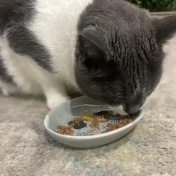 Ethical Pet Spot Best Friends Oval Cat Dish 6