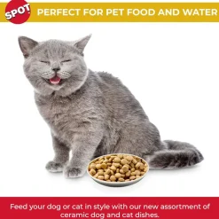 Ethical Pet Spot Best Friends Oval Cat Dish 6