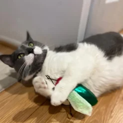 Ethical Pet Spot Buzzing Insects Cat Toy 5