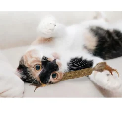 Ethical Pet Spot Catnip Stick Compressed Catnip Toy, 12"