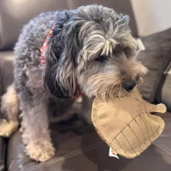 Ethical Pet Spot Dura-Fused Leather Dog Toy Raccoon