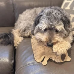 Ethical Pet Spot Dura-Fused Leather Dog Toy Raccoon