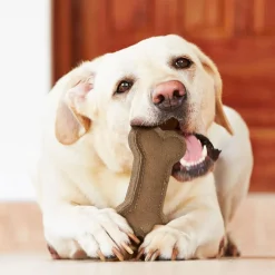 Ethical Pet Spot Dura-Fused Leather Bone Dog Toy, 9
