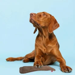 Ethical Pet Spot Dura-Fused Leather Bone Dog Toy, 9