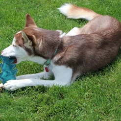 Ethical Pet Spot Dura-fuse Leather Fish Dog Toy, Character Varies, 7