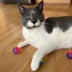 Ethical Pet Spot Shimmer Ball Cat Toy Multi-Color, 4-count