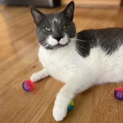 Ethical Pet Spot Shimmer Ball Cat Toy Multi-Color, 4-count