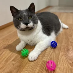 Ethical Pet Spot Slotted Balls Cat Toy Multi-Color, 4-count
