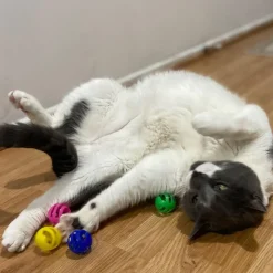 Ethical Pet Spot Slotted Balls Cat Toy Multi-Color, 4-count