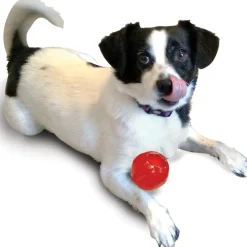 Ethical Play Strong Ball Toy For Dogs (2.5