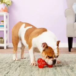 Ethical Play Strong Bone Toy For Dog