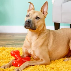 Ethical Play Strong Trident Toy For Dog (6