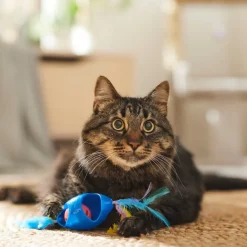 Ethical Tie Dye Jingle Roller Assorted Toy For Cat (8