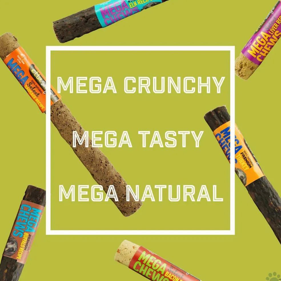 Etta Says! Premium Crunchy MEGA Buffalo Chews Dog Treats, 10", 1 count
