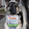 Evanger's Freeze-Dried Beef Tripe Dog & Cat Treats (4.6 oz)