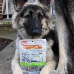 Evanger's Freeze-Dried Beef Tripe Dog & Cat Treats (4.6 oz)