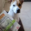 Evanger's Nothing but Natural Gently Air Dried Beef Tripe Dog & Cat Treats (3.5 oz)