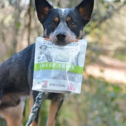 Evanger's Nothing but Natural Gently Air Dried Beef Tripe Dog & Cat Treats (3.5 oz)