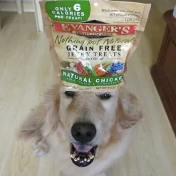 Evanger's Nothing But Natural Holistic Chicken Recipe Jerky Dog Treats (4.5 oz)