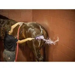 Exhibitor's Quic Color Intensifier Shampoo for Horses