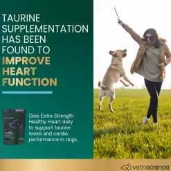 Extra Strength Healthy Heart Chews for Dogs