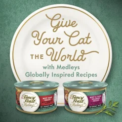 Fancy Feast Medleys Beef Ragu with Tomato & Pasta Wet Cat Food, 3-oz case of 24