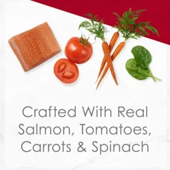 Fancy Feast Medleys Salmon Primavera in Sauce Wet Cat Food, 3-oz case of 24