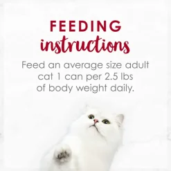 Fancy Feast Medleys Salmon Primavera in Sauce Wet Cat Food, 3-oz case of 24