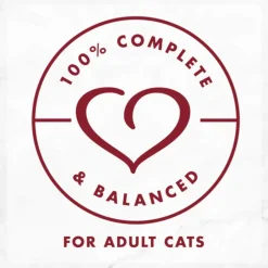 Fancy Feast Medleys Shredded Wild Salmon Fare in Broth Wet Cat Food, 3-oz case of 24