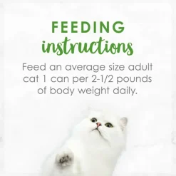 Fancy Feast Medleys Tuna Florentine in Sauce Wet Cat Food, 3-oz case of 24