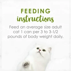 Fancy Feast Medleys White Meat Chicken Primavera Pate Wet Cat Food, 3-oz case of 24