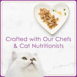 Fancy Feast Petites In Gravy Variety Pack Wet Cat Food (24 servings)